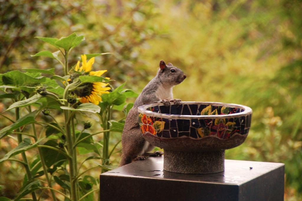 Brewery Gulch Inn & Spa Mendocino Luaran gambar