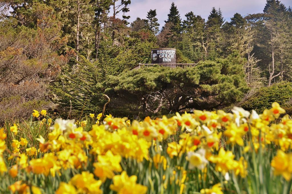 Brewery Gulch Inn & Spa Mendocino Luaran gambar